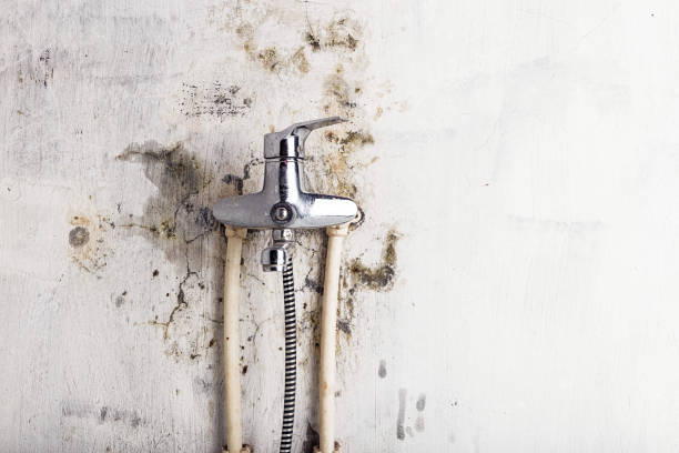 Water Damage Restoration in Woodcrest, CA